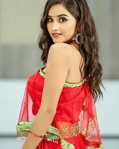 Call Girls Service Kanipakam